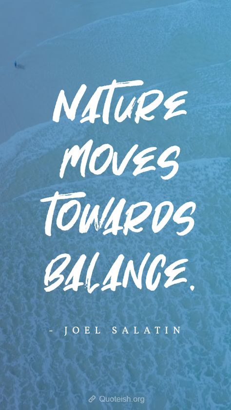 Balancing life is hard. But it's too important. Balance is a must have in our life. Only balance can make a path of long run. Balance is not always natural, sometimes we have to create balance trying hard. Below 60 balancing life quotes and balancing life sayings are collected together.  #BalancingLifeQuotes #LifeBalanceQuotes #QuotesOnLifeBalance #Quoteish Taking Risks Quotes, Democracy Quotes, Aspiration Quotes, Life Balance Quotes, Equality Quotes, Balance Quotes, Stone Quotes, Minimal Quotes, Cloud Quotes