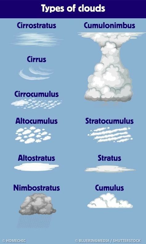 Cloud Classification, Cloud Types, Kinds Of Clouds, Types Of Clouds, Cloud Names, Cloud Type, White Tigers, Type Posters, Earth Science