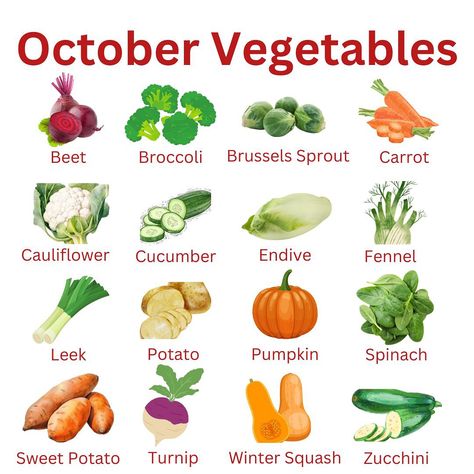 October vegetables Recipes With Pomegranate, Recipes With Cauliflower, Spicy Pumpkin Soup Recipe, Recipes With Broccoli, Recipes With Avocado, Recipes With Spinach, Recipes With Pumpkin, Pesto Spaghetti Squash, Spicy Pumpkin Soup