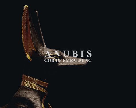 the god of embalming and the dead. Anubis Aesthetic, Sphinx Mythology, Ancient Egyptian Gods, Egyptian Gods, Greek Mythology, Ancient Egyptian, Ancient Egypt, Revenge, Egypt