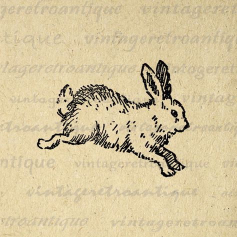 Hase Tattoos, Bunny Printable, Bunny Images, Totem Animal, Vintage Clip Art, Bunny Tattoos, Rabbit Tattoos, Animal Images, Rabbit Illustration