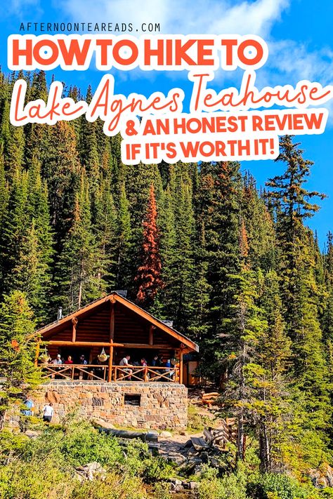 a view of the tea house among the tall trees and blue skies. A small log cabin with people sitting on the covered front porch Lake Agnes Tea House, Lake Louise Canada, Jasper Park, Lake Agnes, Canadian Road Trip, Vacation 2024, Chateau Lake Louise, St Agnes, Tea Reading