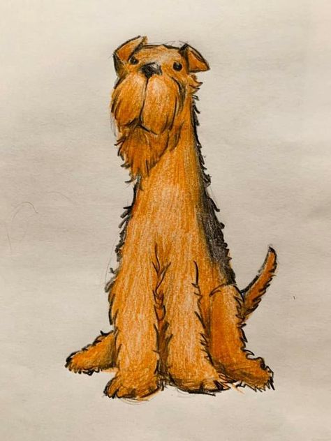 Terrier Drawing, Black And Tan Terrier, Airedale Dogs, Artsy Pics, Welsh Terrier, Painting Animals, Irish Terrier, Event Room, Artsy Pictures