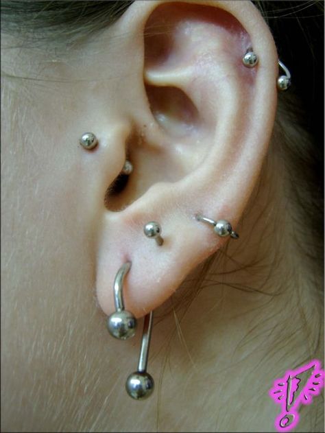 The tragus piercing is the one furthest to the left. Anti Tragus Piercing, Anti Tragus, Tragus Piercing Jewelry, Ear Canal, Cute Piercings, Tragus Piercing, Tragus Piercings, The Ear, Jewelry Silver