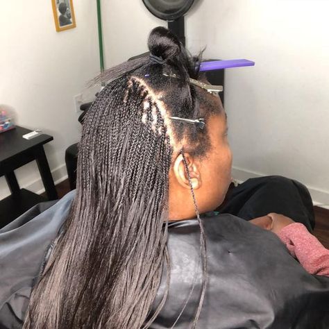 When is the last time you had micro braids as a protective style? 🌱 ——— #microbraids #micros #microbraiding #protectivestyles… Braid Hairstyles Bun, Tree Braids Styles, Box Braid Hairstyles, Tree Braids Hairstyles, Micro Braids Hairstyles, Diy Hair Mask For Dry Hair, Avocado Hair Mask, Tree Braids, Hair Mask For Damaged Hair