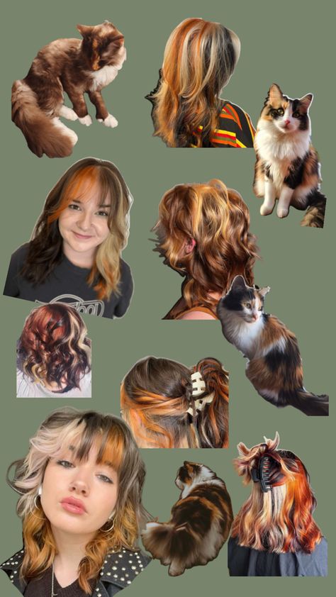 green background. pictures of calico cats and women with orange, black, and white hair. Fox Hair Dye, Hair Color Placement, Calico Hair, Hair Dye Videos, Short Grunge Hair, Vivid Hair Color, Dyed Hair Inspiration, Hair Inspiration Short, Hairstyles For Layered Hair