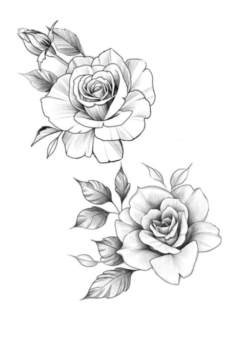 Rose Petals Tattoo, Petals Tattoo, Rose Tattoo Stencil, Art And Drawing, Strong Tattoos, Rose Flower Tattoos, Rose Drawing Tattoo, Rose Stencil, Flower Tattoo Drawings