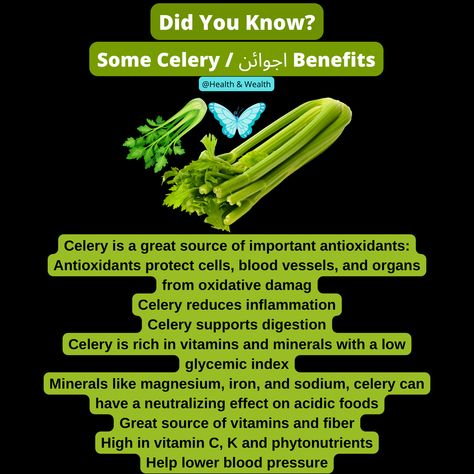 celery benefits for men
celery benefits for women
eating celery benefits
juicing celery benefits
celery benefits for skin
celery benefits for sperm
celery benefits sexually woman
cooked celery benefits
celery benefits and side effects
celery benefits and vitamins
what are the benefits of celery seed Celery Health Benefits, Cooked Celery, Benefits Juicing, Juicing Celery, Health Benefits Of Celery, Benefits Of Celery, Women Eating, Celery Juice Benefits, Vegetable Benefits