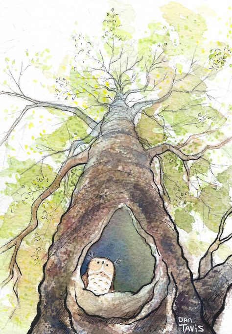 Dan Tavs Illustration Heegyum Kim, Tree Watercolor, Owl Tree, Well Hello There, Storybook Art, Inspirational Illustration, Fish Illustration, Flower Sketches, Watercolor Ink