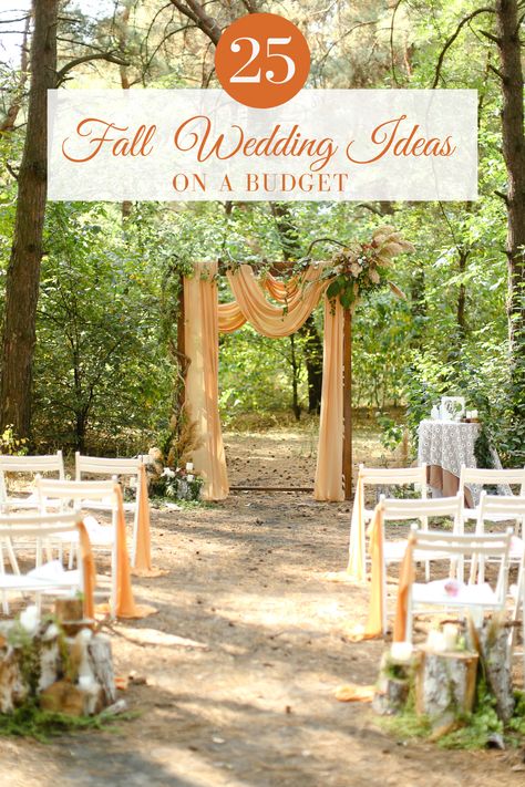 Host a small fall wedding this October in your backyard on a budget. Decorate your autumn wedding with fall flowers, pumpkin wedding decor and rustic wedding centerpieces. No matter your fall color scheme, this selection of rustic fall wedding ideas will transform your wedding. #octoberwedding #novemberwedding #fallwedding #pumpkincenterpiece #rusticwedding #bohowedding #octobercolorpalettes Backyard Wedding Fall Ideas, October Outside Wedding Ideas, October Wedding Decorations Wedding Table Decor, Fall Wedding With White Pumpkins, Small Intimate Fall Wedding, Fall Park Wedding Ideas, Small Rustic Wedding Reception, Autumn Centerpieces For Table Wedding, Outdoor Fall Wedding Reception Ideas