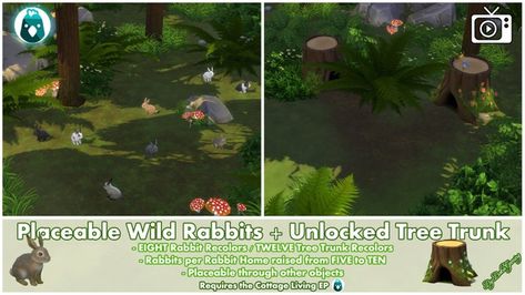 🎉New Mod / Video!🎉 | Patreon Animated Rabbit, Rabbit Home, All About Rabbits, Clown Paintings, Wild Rabbit, Photoshop Styles, Natural Pond, Rabbit Cage, Bunny House