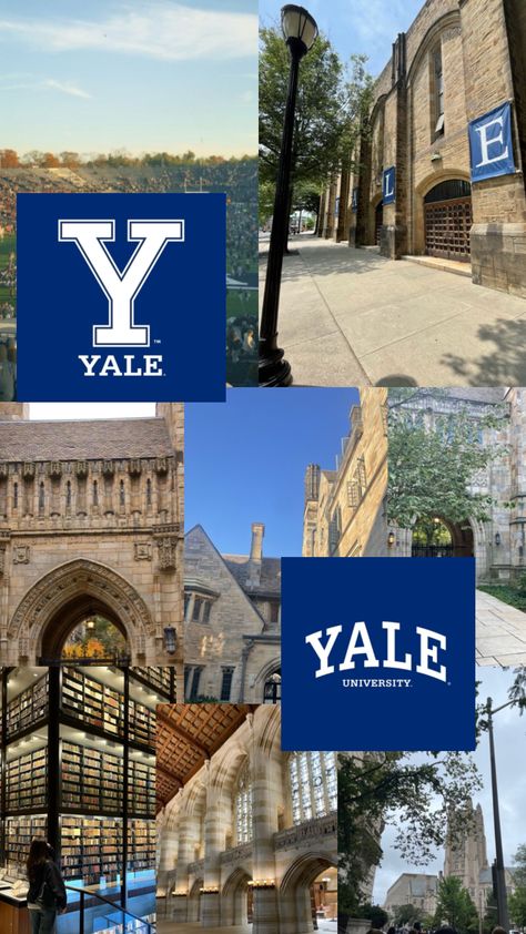 #yale #univ #university #journalism #law #yalelaw #fyp #foru #forupage #foryou #foryoupage #viral #virals #trend #trends #trending #trendings #summer #spring #jellycat #jellycats Yale Law, University Aesthetic, Romanticizing School, Dream College, Dream School, Yale University, Ivy League, New England, Ivy