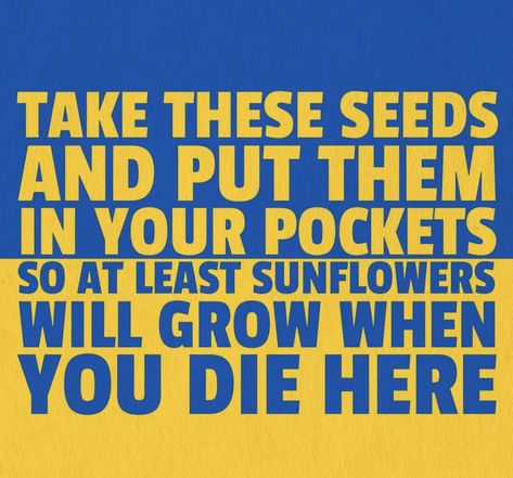 #SunflowersforUkraine #Ukrainiangrandmother #Ukraine #Sunflowers #Sunflowerseeds Ukraine Quotes, Chic Quotes, Sunflower Quotes, Ukrainian Culture, For What It's Worth, National Flower, Girls Rules, Sunflower Seeds, Dad Jokes