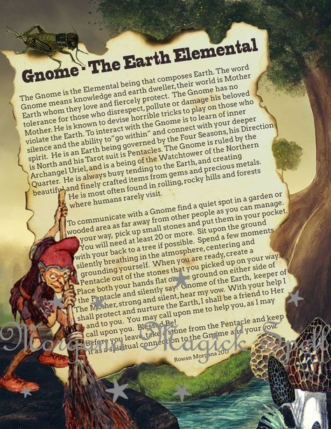 Gnome Meaning, Faery Magick, Fairy Poems, Fantasy Woods, Earth Magick, Earth Elemental, Fairy Realm, Spirit Animal Meaning, Divination Methods