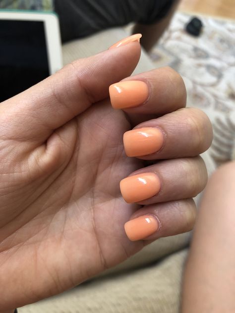 Love this light orange color 🧡 #SummerNails #NexGen #Manicure Natural Orange Nails, Cute Light Orange Nails, Cream Orange Nails, Dip Nails Orange, Light Orange Toe Nails, Pale Orange Nail Designs, Light Orange Acrylics, Spring Orange Nails, Creamsicle Orange Nails