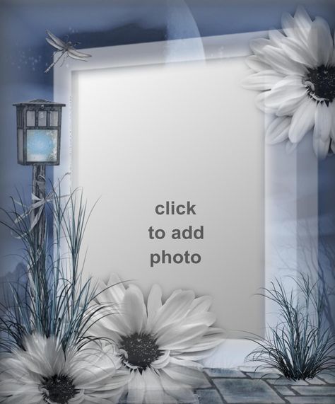 Free Picture Frames, Birthday Wishes With Photo, Birthday Card With Photo, Photo Frame Images, Digital Frames, Foto Frame, Happy Birthday Cake Pictures, Beautiful Frames, Flower Picture Frames