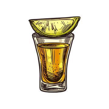 Alcohol Png Aesthetic, Shot Glass Illustration, Shots Illustrations, Tequila Bottle Drawing, Cocktail Glass Drawing, Vodka Drawing, Tequila Drawing, Shot Glass Drawing, Shot Glass Tattoo