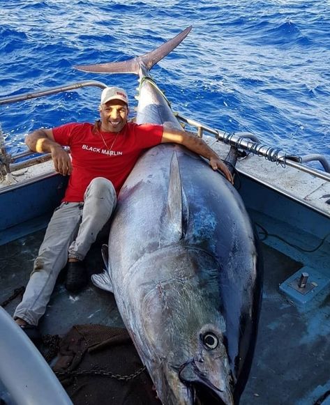 970lb Tuna Tuna Fishing, Salt Water Fish, Offshore Fishing, Salmon Fishing, Ocean Fishing, Fishing Guide, Deep Sea Fishing, Fishing Girls, Fishing Women