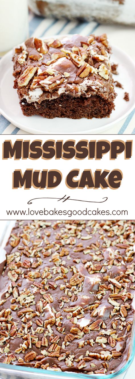 Mississippi Mud Cake - a Southern classic cake with chocolate, marshmallows, and pecans! Everyone asks for THIS recipe!! Mississippi Mud Cake, Mud Cake Recipes, Mississippi Mud, Southern Desserts, Mud Cake, Gateaux Cake, Chocolate Marshmallows, Moist Chocolate Cake, Classic Cake