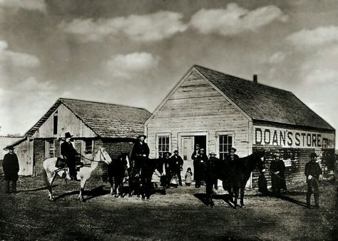 North of Vernon 1890s Texas Longhorn Cattle, Quanah Parker, Chisholm Trail, Indian Territory, Longhorn Cattle, Oklahoma History, Cattle Drive, Jackson County, Texas Longhorn