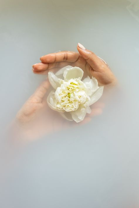 Blanco White, Spiritual Bath, White Bath, Flower Therapy, Facial Care, Hd Images, Beauty Cosmetics, Free Stock Photos, White Flowers