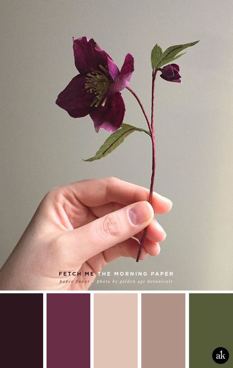 Plum Color Palette, Purple Paper, Creative Brands, Purple Color Palettes, Color Schemes Colour Palettes, Green Colour Palette, Print Studio, Color Palette Design, Plum Color