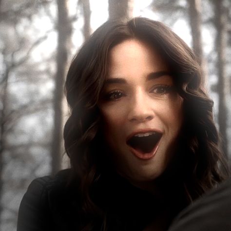 Allison Argent Icon, Allison Argent Aesthetic, Allison Argent Aesthetic Quotes, Alison Argent Gif, Allison Argent Icons Season 1, Alison Argent, The Fallen Angel, Allison Argent, Crystal Reed