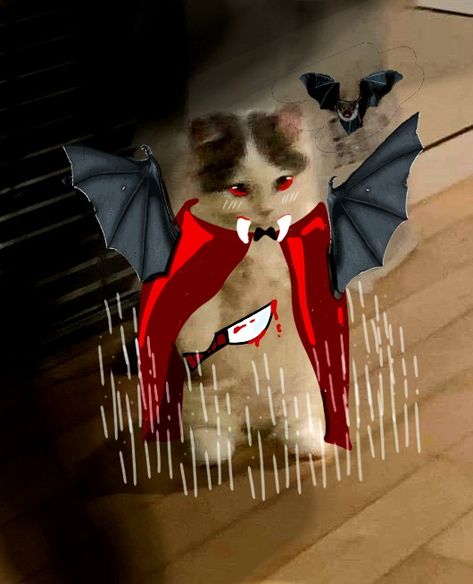 bat wings, holding  a knife, cape and vampire teeth, cat standing, meme cat, profile picture perfect, pfp, made by lumos, dark and cute, october month, kitten standing pfp, kitten profile picture, knife with blood and bats Profile Picture Cat, Standing Meme, Cat Profile Picture, Holding A Knife, Cat Standing, Meme Cat, Vampire Cat, Cat Profile, Vampire Teeth