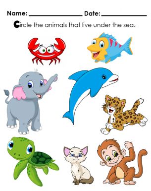 Learn Which Animals Live Under The Sea - Kids Worksheet that Teach Where Animals Live Smooth Objects, Animals Worksheet, Measurement Kindergarten, Preschool Music Activities, Alphabet Crafts Preschool, Kids Worksheet, Letter Worksheets For Preschool, Shapes Kindergarten, Preschool Tracing