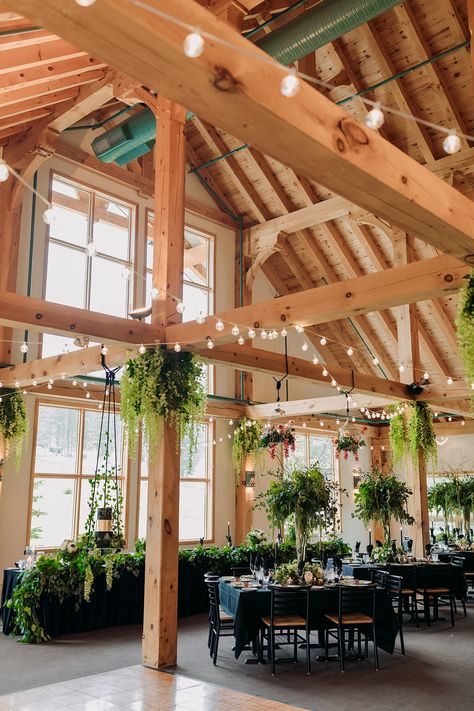 Banff Wedding Reception, Summer Lodge Wedding, Banff Wedding Venues, Norquay Wedding, Boho Wedding Venues, Ski Mountain Wedding, Wedding Lodge, Ski Lodge Wedding, Lodge Wedding Reception