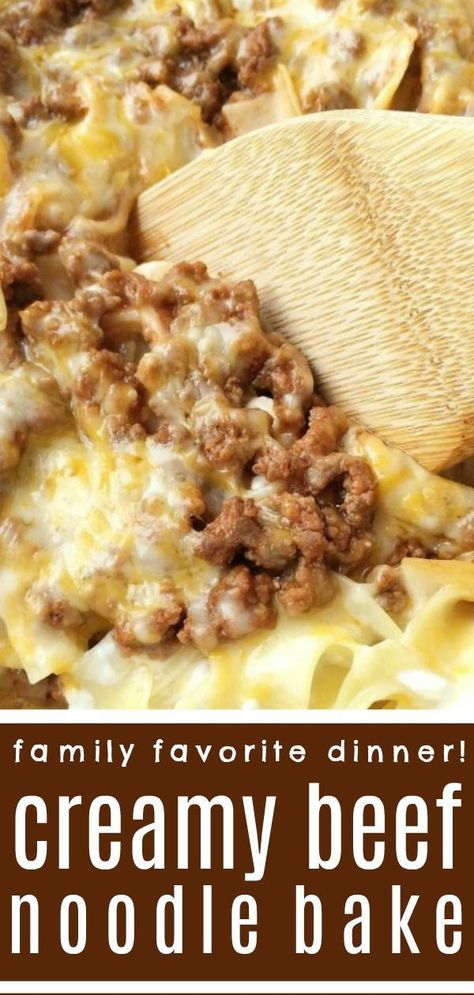 Creamy Beef Noodle Bake | Dinner Recipe | Ground Beef Recipes | Tender egg noodles, melty cheese, and a creamy tomato ground beef mixture make for one amazing, and family-friendly dinner! The entire family will love this simple and easy creamy beef noodle bake. It's a family favorite that can be on the dinner table in 30 minutes. #dinner #groundbeef #casserole #easydinnerrecipes #easy Dinner Recipe Ground Beef, Beef Noodle Bake, Bake Dinner, Recipe Ground Beef, Noodle Bake, Baked Dinner Recipes, Diner Recept, Baked Dinner, Family Friendly Dinners