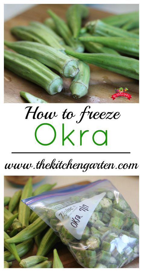 Frozen Okra, Freeze Vegetables, Growing Okra, Fresh Okra, Preserving Vegetables, Freeze Food, Freezing Vegetables, Pickled Okra, Canning Vegetables