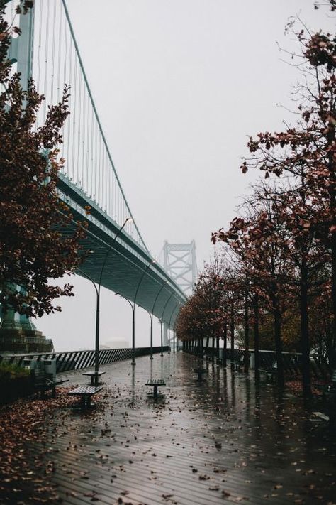 Race Street Pier, Kelly Smith, Visit Philadelphia, Shirt Inspiration, Civil Engineer, Urban Landscapes, Banana Fish, Outdoor Market, It's Raining