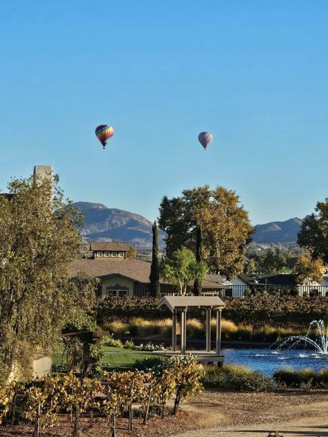 Temecula California Wine Country Oasis Ponte Vineyard Inn | Luxe Beat Magazine Winery Tasting Room, Temecula California, California Wine Country, Wine Country California, California Wine, Destinations Travel, California Dreaming, Travel Writer, California Travel