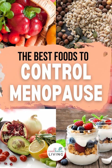 Menaposal Foods, Food For Menopausal Women, Best Foods To Eat In Your 40s, Pre Menaupose Diet, Menaupose Diet, Best Food For Menopausal Women, Natural Remedies For Menopausal Symptoms, Recipes For Menopausal Women, Diet For Menopausal Women