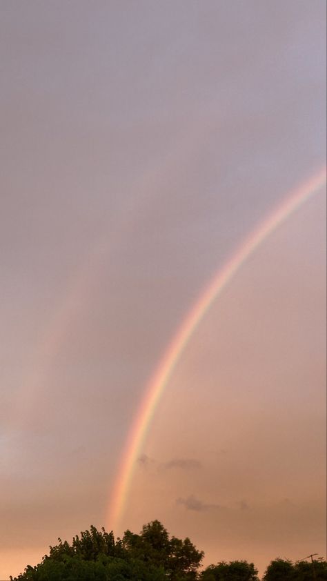 Arcoíris 
aesthetic
Atardecer Cielos Aesthetic, Marta Core, Sol Aesthetic, Rainbow Pictures, Cartoon Songs, Digital Camera Photography, God's Promise, Rainbow Sky, Wallpaper Space