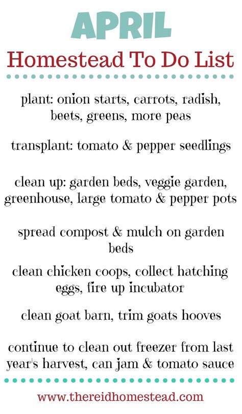 What is on your April Homestead To Do List? This time of year is crazy and our to do list grows longer every day! But here is what we will be tackling this month on The Reid Homestead Planting Strawberries In Pallets, Diy Homestead Ideas, Half Acre Homestead, Homesteading Binder, Homestead To Do List, Homestead Schedule, Homestead Essentials, 1 Acre Homestead Layout, Homesteading For Beginners