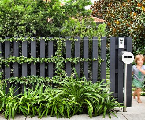 10 best landscapers in Australia Black Fences, Mailbox Landscape, Fence Paint Colours, Landscape Australia, Mailbox Landscaping, Black Fence, Front Fence, Garden Vines, Front Yard Fence