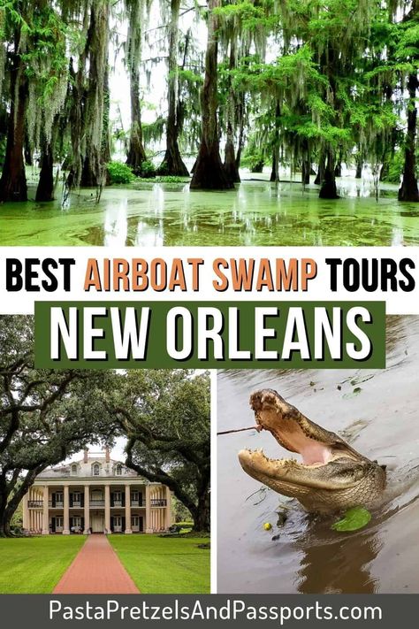 7 Top Airboat Swamp Tours in New Orleans 2023 Swamp Tours New Orleans, Muriel’s New Orleans, New Orleans Swamp Tour, New Orleans Bayou, Tours In New Orleans, Louisiana Vacation, New Orleans Halloween, Nola Trip, Adult Activities