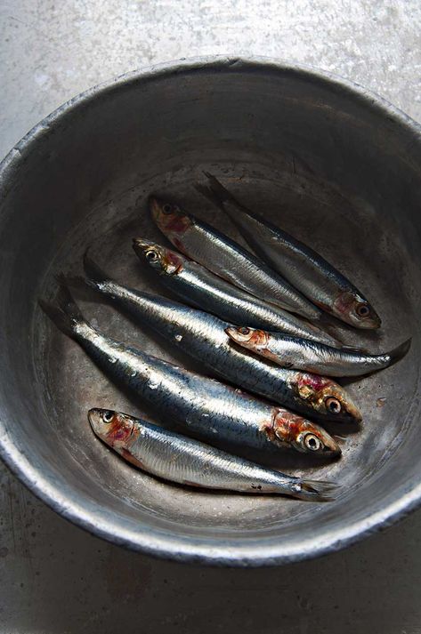 Seasonal, sustainable and delicious, sardines are having a moment. Step away from the cans and get cooking with a fresh catch of the silver bullets of the ocean. Here are Food and Travel magazine's top sardine recipes... Sardine Recipes, Travel Magazine, Lobster Roll, Food And Travel, Fish Dishes, Fish Art, What To Cook, Fish And Seafood, Food Photo