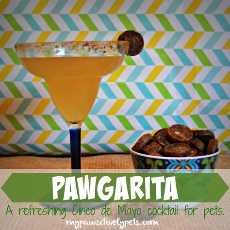 Refreshing and Easy Cocktail Recipe for Pets - Perfect for Cinco de Mayo! Dog Drink Recipes, Dog Drinks, Dog Margarita Recipe, Dog Margarita, Dog Themed Drinks, Dog Theme Party Drinks, Pet Specialty Drinks, Dog Inspired Cocktails, Mexican Cocktails