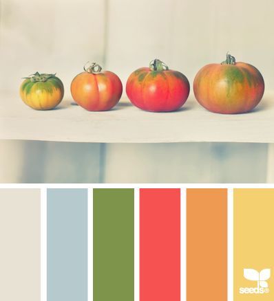 ༺༺༺♥Elles♥Heart♥Loves♥༺༺༺ ............♥Color Charts♥............ #Color #Chart #ColorChart #Inspiration #Design #Moodboard #Paint #Palette #Decorate #Art #Renovate ~ ♥Tomato tones by Design seeds Inkleur Prente, Design Seed, Seeds Color, Thanksgiving Color, Color Palate, Design Seeds, Trendy Kitchen, Red Design, Colour Schemes