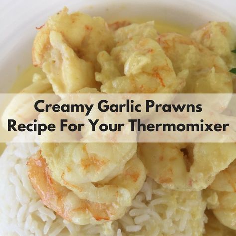 Creamy Garlic Prawns - Thermomixer Recipe Seafood Mix Recipes, Garlic Ideas, Creamy Garlic Prawns, Thermomix Recipes Dinner, Tiny Chef, Paella Recipe Seafood, Prawns Recipe, Bellini Recipe, Thermomix Baking