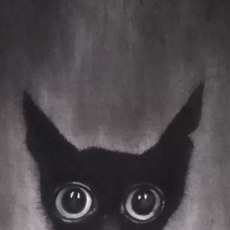 Magda Patyk on Instagram: "Charcoal and chalk on paper. #drawing #catdrawing #blackcat #charcoalonpaper #art#forsale #illustration #darkart #darkartist #meow #kitty#blackkitty #animaldrawing #loveanimals #lovecats #blackandwhiteart" Cat Chalk Art, Chalk On Paper, Animal Cat, Cat Photography, Paper Drawing, Chalk Art, Cat Drawing, Video Photography, Cat Photo