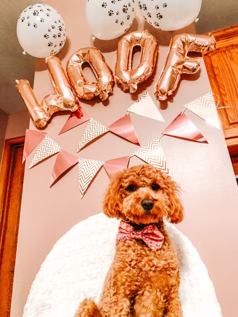 Aesthetic puppy birthday party 1st balloons Puppy 1st Birthday Party, Dogs First Birthday Ideas, Doggy Birthday Party, Doggie Birthday Party, Dog Birthday Pictures, Aesthetic Birthday Party, Shared Birthday Parties, Aesthetic Puppy, Puppy Birthday Cakes