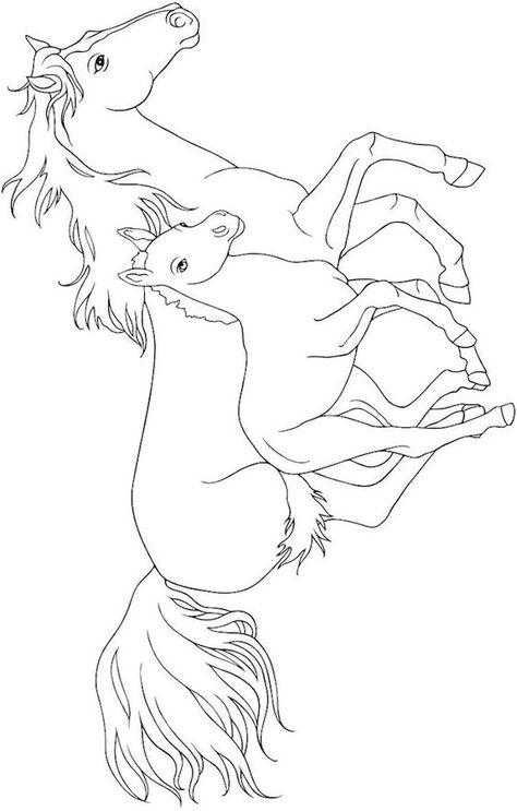 Horse Coloring Books, Horse Art Drawing, Show Jumping Horses, Horse Coloring Pages, Horse Drawing, Horse Drawings, Horse Coloring, Cute Coloring Pages, Animal Coloring Pages