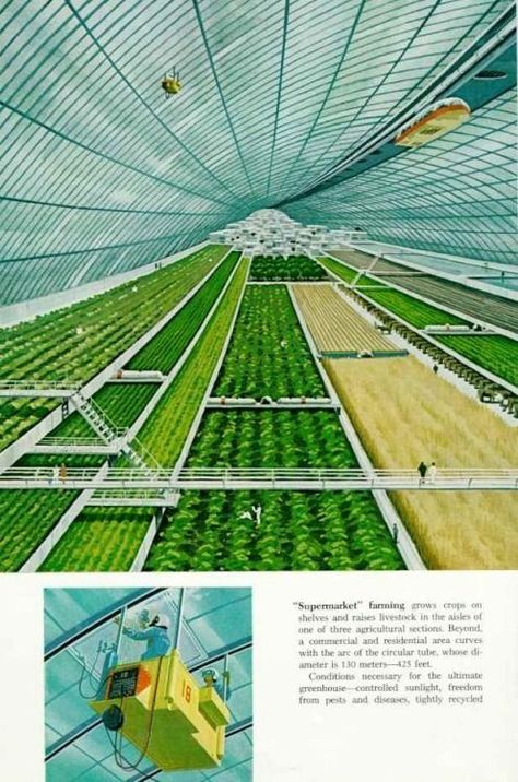 Space Colony, Smart Farm, 70s Sci Fi Art, Vertical Farming, Future Farms, Eco Architecture, Green City, Futuristic City, Future City