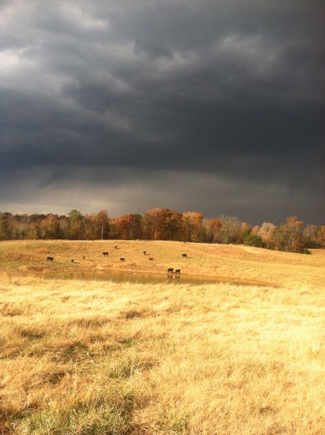 Grass Mountain, Prairie Art, Storm Photos, Twilight Sky, Stormy Sky, Beautiful Landscape Photography, Winter's Tale, Perfect Storm, Storm Clouds