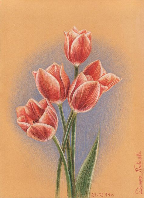 Tulips by diana-0421 Flower Drawing Tulip, Drawing Ideas Creative, Tulip Drawing, Tree Drawings Pencil, Crayon Drawings, Pen Art Drawings, Flower Art Drawing, Flower Painting Canvas, Object Drawing