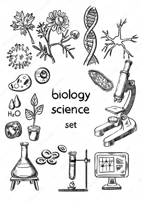 Drawing Ideas Easy Small, Biology Drawing Ideas, Drawing Ideas For School, Biology Drawing, Science Drawing, Biological Science, Brush Lettering Practice, Writing Paper Template, Biology Projects